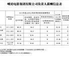 峨眉電影集團有限公司負責(zé)人薪酬信息披露